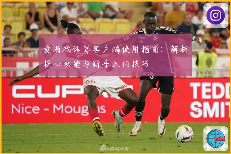 爱游戏体育客户端使用指南：解析核心功能与新手入门技巧